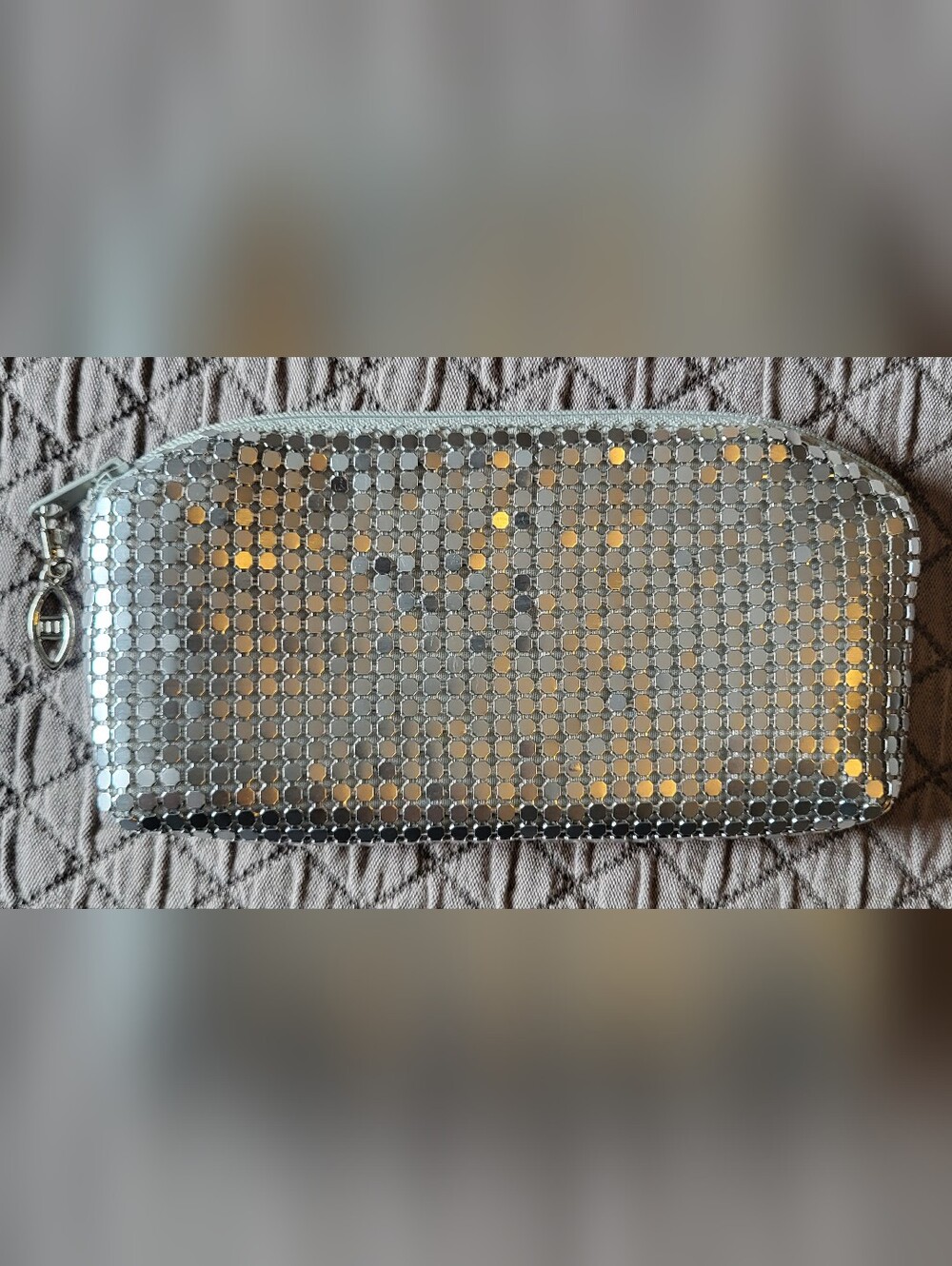 Silver Mesh Zip Clutch NWOT